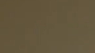 Los servicios de asistencia social han ayudado a más de 5,000 personas, según el alguacil del condado de Cook, Tom Dart. Foto captura WGN