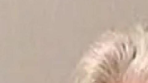 Richard Sudoth de 70  años fue acusado de siete cargos de reproducción de pornografía infantil. Foto Cortesía del condado de Kane