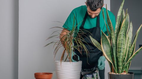 La decoración sostenible busca reducir el impacto causado por la fabricación de muebles y objetos en el planeta.