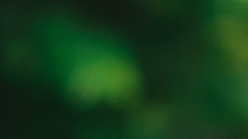 Está demostrado que el apoyo del entorno familiar en torneos deportivos ayuda a los jugadores a desarrollarse de manera más eficaz.