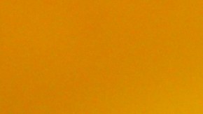 Según la comisionada del Departamento de Salud Pública de Chicago, la Dra. Allison Arwady, se han administrado más de 5.6 millones de vacunas contra el coronavirus en toda la ciudad.