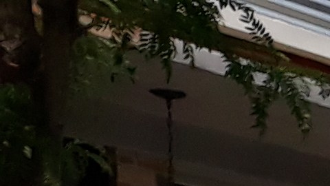 Hombre muere después de recibir un disparo en la cabeza y el brazo en West Englewood.