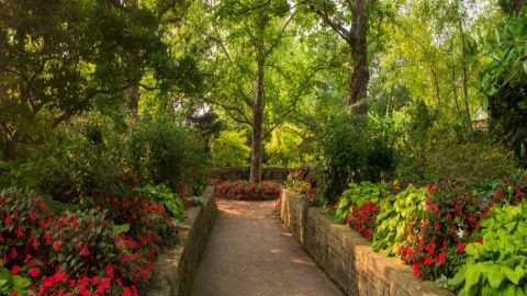 El Jardín Botánico de Chicago está ubicado en 1000 Lake Cook Road en Glencoe, Illinois. Foto Extraída del Twitter del Jardín Botánic