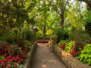 El Jardín Botánico de Chicago está ubicado en 1000 Lake Cook Road en Glencoe, Illinois. Foto Extraída del Twitter del Jardín Botánic