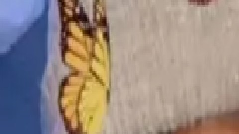 (De izq. a der.) Rayven y Sharae Woods fueron vistas por última vez el viernes 1 de julio en Englewood. Foto Cortesía Departamento de Policía de Chicago