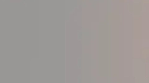 Jan Skotnicki, de 71 años, fue visto por última vez en Garfield Ridge el sábado 23 de julio. Foto Departamento de Policía de Chicago