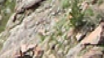 Amtrak está iniciando una ola de contratación masiva. La empresa está buscando llenar 4,000 puestos, algunos con base en Chicago. Foto captura página web Amtrak