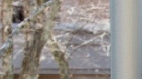 Una mayor diversidad de donantes aumenta el acceso al trasplante para todas las personas que lo necesiten. Foto Gif of Hope