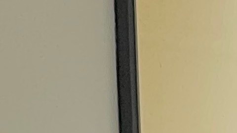 La comisionada del Condado de Cook Alma Anaya y activistas pro inmigrantes hablan antes de una audiencia en el Condado de Cook para investigar cómo ICE estaría usando empresas corredoras de datos para eludir las protecciones de las leyes santuario.  (Cortesía ICIRR/Mijente)