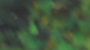 El muralista mexicano Héctor Duarte y su esposa Linda Lutton en el jardín comunitario de la Cooperativa de Vivienda de Pilsen. (Belhú Sanabria / La Raza)