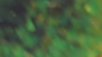 El muralista mexicano Héctor Duarte y su esposa Linda Lutton en el jardín comunitario de la Cooperativa de Vivienda de Pilsen. (Belhú Sanabria / La Raza)