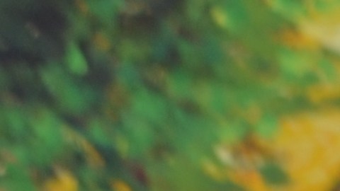 El muralista mexicano Héctor Duarte y su esposa Linda Lutton en el jardín comunitario de la Cooperativa de Vivienda de Pilsen. (Belhú Sanabria / La Raza)