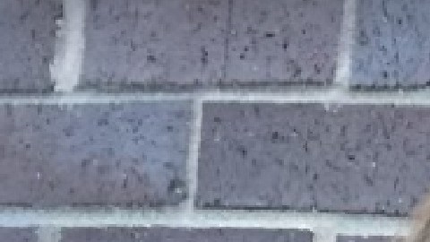 La propietaria de Base Salon en West Loop, Krysta Rojas dijo que fue estafada por una mujer que llegó al negocio a recibir servicios, pero que no pagó. Foto Google Maps.