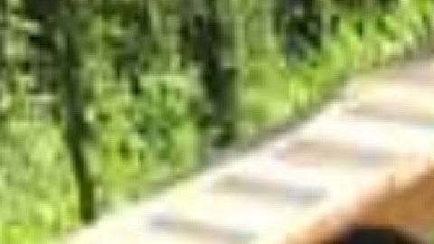 Kids Camp en Lewistown, Illinois alberga a cientos de estudiantes de varios grupos de Chicago. Foto extraída de Facebook de City Kids Camp.