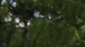 Ingrid Bejarano, frente al centro de entrega de Amazon en Bridgeport, habla sobre las luchas que enfrentan los proveedores de cuidado infantil y el bajo salario que reciben por su trabajo. (Cortesía SEIU Healthcare Illinois)