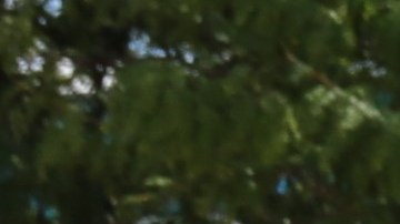 Ingrid Bejarano, frente al centro de entrega de Amazon en Bridgeport, habla sobre las luchas que enfrentan los proveedores de cuidado infantil y el bajo salario que reciben por su trabajo. (Cortesía SEIU Healthcare Illinois)