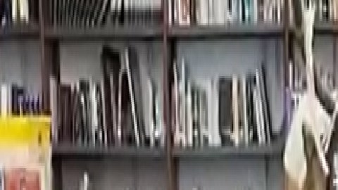 La biblioteca de Roberto Clemente de Chicago se inscribió al concurso llamado: “Cloud Cuckoo Land Library Makeover” patrocinado por Heart of America. Foto captura NBC5 Chicago