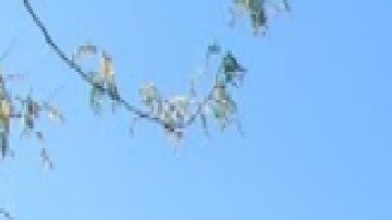 Una persona fue asaltada por ladrón que tomó por la fuerza su bolso en un tren de la línea roja de la CTA en la estación North/Clybourn. Foto Google Maps