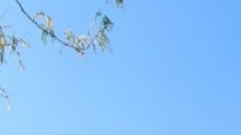 Una persona fue asaltada por ladrón que tomó por la fuerza su bolso en un tren de la línea roja de la CTA en la estación North/Clybourn. Foto Google Maps