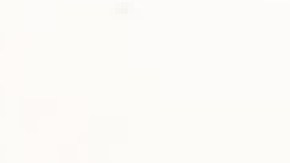 Myrna Salazar fue desde siempre parte de la familia de este semanario ya que estuvo casada con el fallecido César Dovalina, ex propietario del periódico en español La Raza. Foto cortesía Joe Mazza/Brave Lux.