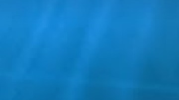 El acuario Shedd está ubicado en el 1200 sur DuSable Lake Shore Drive, en Chicago. Foto Google Maps