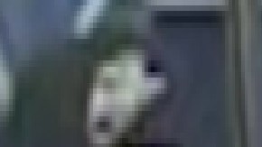 La Policía de Chicago ha publicado fotos de tres sospechosos, entre ellos, una mujer que asaltaron a un hombre en la línea roja de la CTA  al sur de la ciudad. Foto Departamento de Policía de Chicago