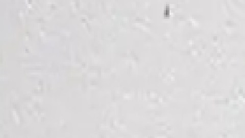Mcred Valderama de Round Lake está acusado de agredir sexualmente a un niño relacionado a su entorno familiar. Foto Oficina del Alguacil del condado de Lake