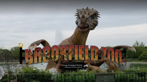 El zoológico de Brookfield alberga alrededor de 450 especies de animales en un área de 216 acres se inauguró el 1 de julio de 1934. Foto Google Maps