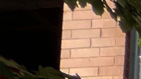 Vecinos y organizadores comunitarios durante una manifestación en la que estuvo presente el concejal del Distrito 30, Ariel Reboyras, y en la que se habló de la necesidad de vivienda asequible en el proyecto Belmont Triangle de Avondale. (Cortesía Arely Barrera / Palenque LSNA)