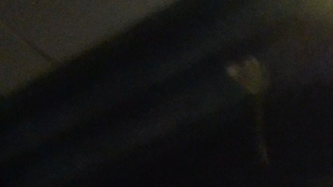 Voluntarios del programa CITA de la organización Interfaith Community Detained Immigrant han estado asistiendo a inmigrantes que llegan en autobuses a la Union Station de Chicago desde hace más de una década. (Belhú Sanabria / La Raza)