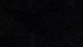 El próximo 28 de febrero se decidirán las curules para alcalde de Chicago, concejales de distrito y a los integrantes de los Concilios de Distrito de Policía.