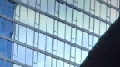 El Día Internacional de la Paz se celebra por recomendación de la ONU el 21 de septiembre.