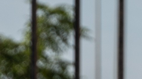 Conductores de viajes compartidos de Chicago luchan por ordenanza que brinde protecciones de seguridad y salarios dignos. (Cortesía Deana Rutherford, Chicago Gig Alliance)