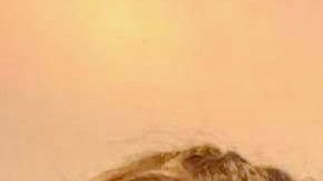 Jaime Botello, su esposa Mirella Gutiérrez y sus tres hijos, Leo de siete años, Danny de cinco años y Mía de cuatro años en su vivienda en Elgin. (Cortesía familia Gutiérrez)