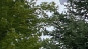 La cadena de asilo de ancianos Alden de Chicago y suburbios ha sido demandada por presuntamente poner en peligro a sus residentes por falta de personal en sus instalaciones. Foto extraída de Facebook The Alden Network