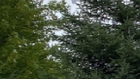 La cadena de asilo de ancianos Alden de Chicago y suburbios ha sido demandada por presuntamente poner en peligro a sus residentes por falta de personal en sus instalaciones. Foto extraída de Facebook The Alden Network