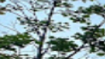 La víctima de 34 años recibió un disparo en la pierna afuera del establecimiento Aberdeen Tap en West Loop. Foto Google Maps