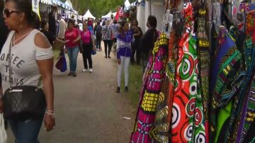 El Festival Africano de las Artes se extiende hasta el lunes en el Washington Park de Chicago. Foto Captura CBS2