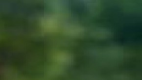 Josiah Brown, de tres años, se ahogó en lago Michigan cerca al Navy Pier, después de que su tía lo empujó.  Foto Extraída de Facebook familia Brown