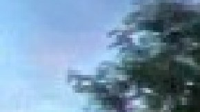 La iniciativa permitiría revitalizar la economía de muchos negocios que han sido duramente golpeados por la pandemia de covid-19. Foto captura página web Restaurante The Piggery