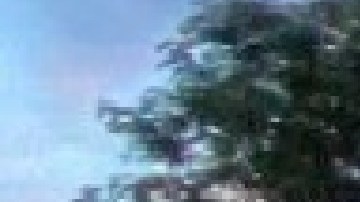 La iniciativa permitiría revitalizar la economía de muchos negocios que han sido duramente golpeados por la pandemia de covid-19. Foto captura página web Restaurante The Piggery