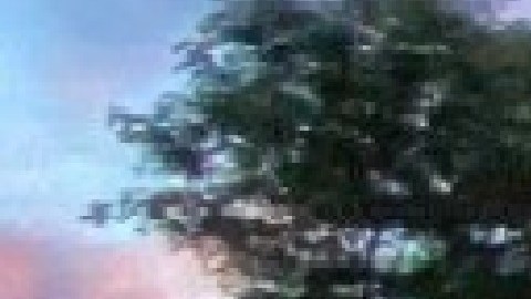 La iniciativa permitiría revitalizar la economía de muchos negocios que han sido duramente golpeados por la pandemia de covid-19. Foto captura página web Restaurante The Piggery