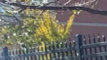 Michael Airhart dirige Taste for the Homeless. Foto captura página web Taste for the Homeless.