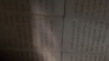 La alcaldesa de Chicago Lori Lightfoot acusó al gobernador republicano Greg Abbott de estar fabricando una crisis humanitaria. Foto Google Maps