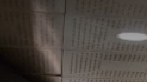 La alcaldesa de Chicago Lori Lightfoot acusó al gobernador republicano Greg Abbott de estar fabricando una crisis humanitaria. Foto Google Maps