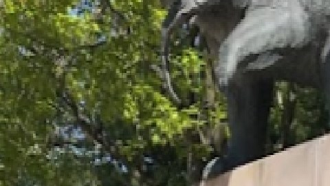 El festival de otoño del zoológico de Lincoln Park operará todos los días durante el próximo mes, pero las ofertas completas solo estarán disponibles los fines de semana. Foto Google Maps