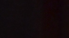 El altar de muertos del Museo Field de Chicago, realizado por la artista Norma Ríos Sierra, forma parte de la exposición titulada ‘La muerte: el mayor misterio de la vida’. (Belhú Sanabria / La Raza)