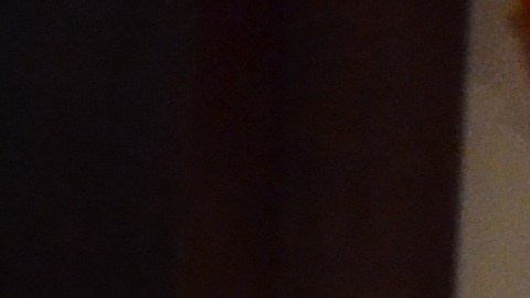 El altar de muertos del Museo Field de Chicago, realizado por la artista Norma Ríos Sierra, forma parte de la exposición titulada ‘La muerte: el mayor misterio de la vida’. (Belhú Sanabria / La Raza)