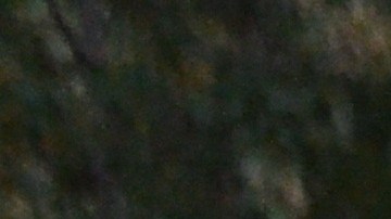 Ricardo Torres en el campamento de personas sin hogar en Touhy Park en el barrio de Rogers Park, en el norte de Chicago. (Belhú Sanabria / La Raza)