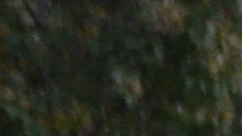 Ricardo Torres en el campamento de personas sin hogar en Touhy Park en el barrio de Rogers Park, en el norte de Chicago. (Belhú Sanabria / La Raza)